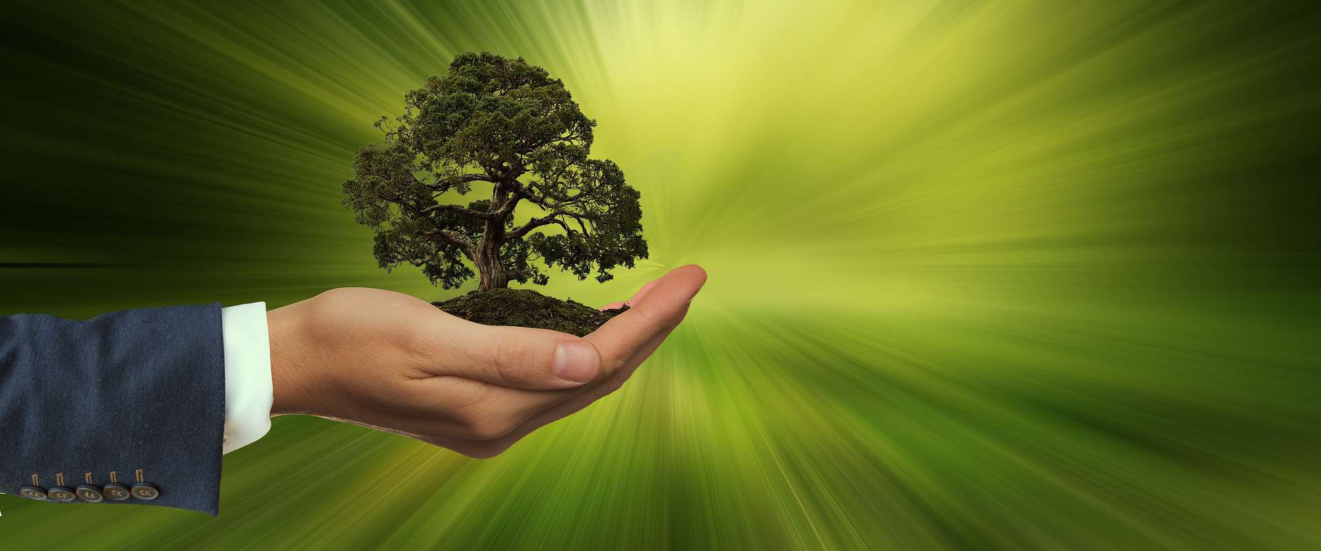 Carbon Neutral Shipping with Shopify Planet