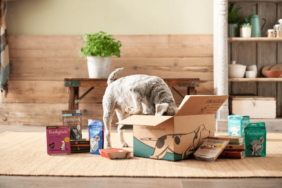 Launching Forthglade’s Build A Box Subscription